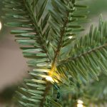 Alpine Fir® Tree