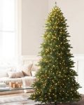 Berkshire Mountain Fir®