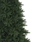 Berkshire Mountain Fir®