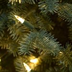 Fir® Narrow Tree