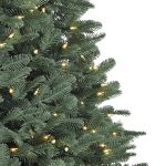 Fir® Narrow Tree