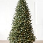 Fir® Narrow Tree