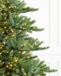 Biltmore® Spruce