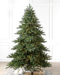 Biltmore® Spruce