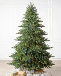 Biltmore® Spruce