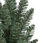 Classic Blue Spruce®