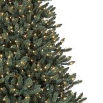 Classic Blue Spruce®