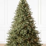 Classic Blue Spruce®