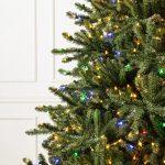 Classic Blue Spruce®