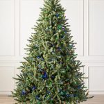 Classic Blue Spruce®