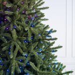 Classic Blue Spruce®