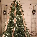 Classic Blue Spruce®