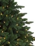 Durango Douglas Fir® Wide Tree