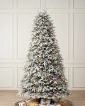 Frosted Fraser Fir®