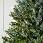 Fraser Fir® Tree