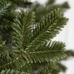 Fraser Fir® Tree