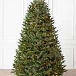 Fraser Fir® Tree