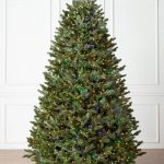 Fraser Fir® Tree