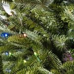 Fraser Fir® Tree