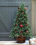 Oakville Outdoor® Christmas Tree