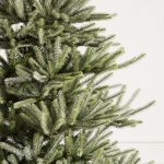 Sanibel Spruce® Tree