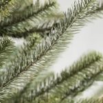 Sanibel Spruce® Tree