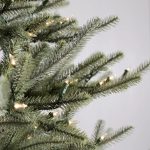 Sanibel Spruce® Tree