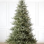 Sanibel Spruce® Tree