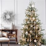 Sanibel Spruce® Tree