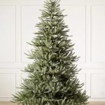 Sanibel Spruce® Tree