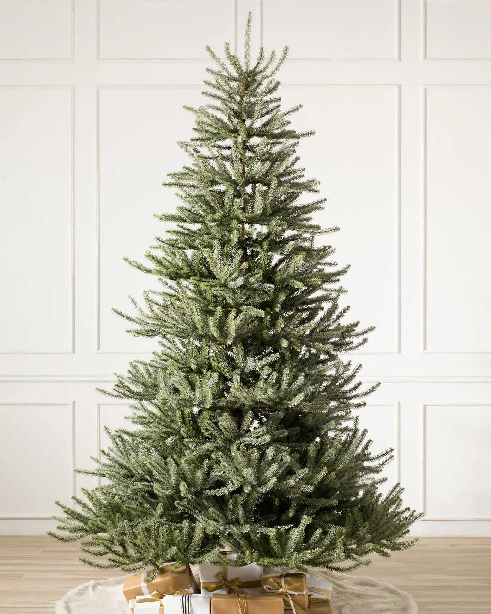 Sanibel Spruce® Tree