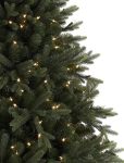 Saratoga Spruce® Tree