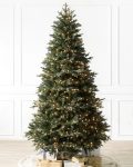 Saratoga Spruce® Tree