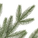 Stratford Spruce®