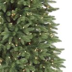 Stratford Spruce®