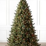 Vermont White Spruce®