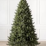 Vermont White Spruce®