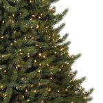 Vermont White Spruce®