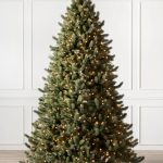 Vermont White Spruce®