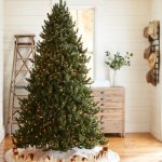 Vermont White Spruce®