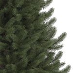 Vermont White Spruce®