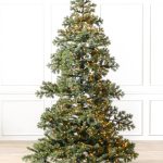 Yukon Spruce®