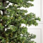 Yukon Spruce®